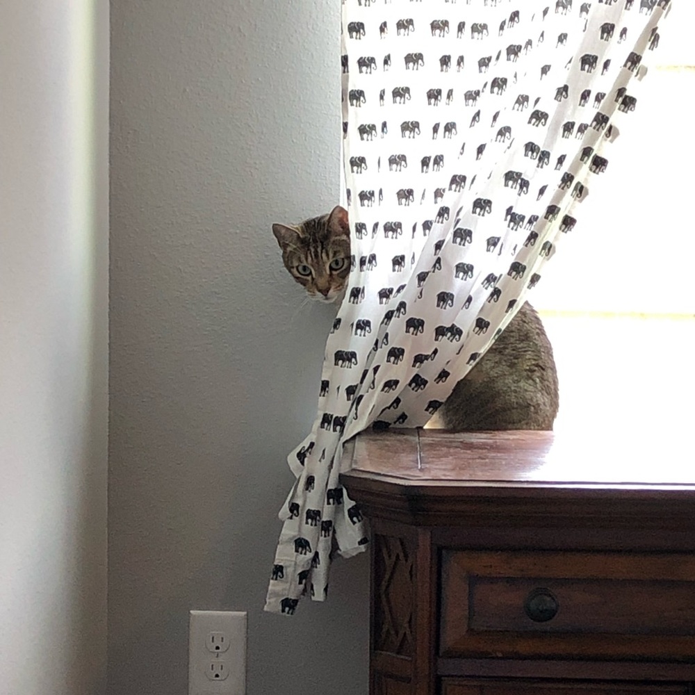 Meet your Posher, Kellie